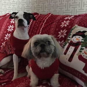 Meet your Posher, Debbie